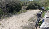 Tocht Mountainbike Riboux - LE LATAY - Photo 7