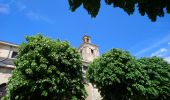 Tour Wandern Bourgueil - Bourgueil - GRP Coteaux de Bourgueil - 26.7km 150m 5h55 (45mn) - 2023 05 06 - Photo 9