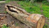 Percorso Marcia Viroflay - Le plateau  de Saclay, de Viroflay à Igny - Photo 1