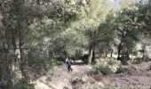 Tour Wandern El Pinar - Ermita del Santo Cristo del Zapato - Photo 1