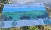 Trail Walking Les Arcs-sur-Argens - La colline de Cabredor les Arcs sur Argens, 17-01-2025 - Photo 3