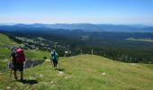 Excursión Senderismo La Chapelle-en-Vercors - la Sarna /Roche Rousse - Photo 9