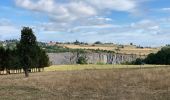 Tocht Stappen Comblain-au-Pont - Pont de Scay 20 Km  - Photo 18