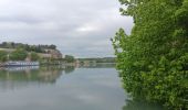 Trail Walking Avignon - ile de Barthelasse 1ere du top 10 des balades d Avignon... pauvres avignonais... - Photo 4