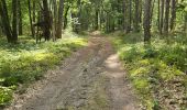 Excursión Senderismo Maisse - Maisse - Forêt communale de Milly-la-Forêt - Photo 15