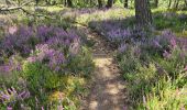 Randonnée Marche Milly-la-Forêt - Milly-la-Forêt - Forêt domaniale des Trois pignons - Curiosités  - Photo 18