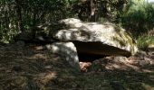 Trail On foot Le Vernet-Sainte-Marguerite - Le Puy d'Alou - Photo 3