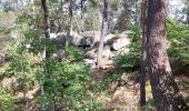 Trail Walking Fontainebleau - barbizon  - Photo 3