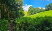 Trail Walking Bouillon - Balade à Ucimont - Photo 10