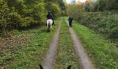 Trail Equestrian Charleville-sous-Bois - Wikiloc - Gondreville - Les secrets des bois - Photo 5