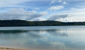 Trail Walking Marigny - Marigny lac de CHALAIN 39130 - Photo 3