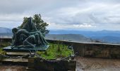 Trail Walking Plan-d'Aups-Sainte-Baume - Sainte Baume dans le brouillard 01-03-2025 - Photo 2