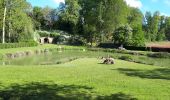 Tour Wandern Villentrois-Faverolles-en-Berry - villentrois 2019 - Photo 10