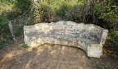 Tocht Stappen Hyères - Presqu'ile de Giens - Photo 16