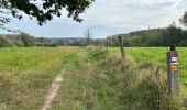 Tocht Stappen Vloesberg - Flobecq 15,1 km - Photo 9