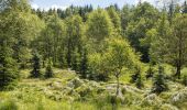 Percorso A piedi Hora Svaté Kateřiny - NS Flájská hornatina - Photo 3