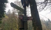 Tocht Te voet Feldkirchen-Westerham - Seehamer Weg - Photo 10