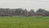 Trail Walking Silly - Gondregnies - bois de la Provision - Fouleng - Photo 17