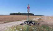 Trail Walking Lisors - 20200806-Mortemer - Photo 19