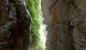 Randonnée Marche Plan-de-Baix - Canyon des Gueulards - Plateau du Vellan  - Photo 14
