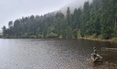 Tour Wandern Baiersbronn - Hornisgrinde & mummelsee - Photo 11