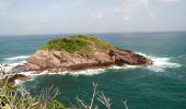 Tocht Stappen La Trinité - Presqu'île de la Caravelle 🌡️ - Photo 15