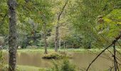 Tour Wandern Malmedy - Malmedy (Bévercé - Ferme Libert- Mont - Chôdes) - Photo 4