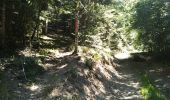 Trail Walking Wegscheid - Circuit des Rochers - Photo 3