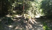 Tour Wandern Wegscheid - Circuit des Rochers - Photo 3