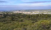 Tocht Mountainbike Frontignan - pioch de la barre - Photo 4