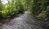 Excursión Senderismo Saint-Clair-sur-Epte - Côteaux de St-Clair sur Epte - Photo 6