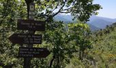 Randonnée Marche L'Escarène - Boucle de la forêt domaniale des paillons - Photo 3
