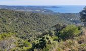 Randonnée Trail Cavalaire-sur-Mer - cavalaire, le dattier par les DFCI - Photo 5