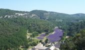 Tocht Stappen Gordes - abbaye de Senanque par les dilais  - Photo 4