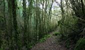 Excursión Senderismo Fondamente - st Maurice de Sorgues - Photo 8