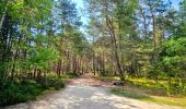 Tour Wandern Milly-la-Forêt - Boucle 29 km Milly La Forêt - Le Vaudoué - Tousson - Photo 17