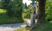 Tour Wandern Loitsch - Rovte Sveti trije Kralje - Photo 5