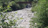 Trail Walking La Roche-des-Arnauds - Serigons - Rabou par petit Buëch  - Photo 6