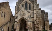 Trail Walking Beaumont-sur-Sarthe - Boucle Beaumont Vivoin - Photo 11