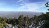 Tour Wandern Bédoin - ventoux Frache fond d angieu - Photo 1