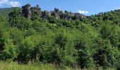 Trail Electric bike Millau - Millau gorges de la Dourbie - Photo 8