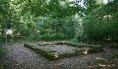 Tocht Te voet Michelstadt - Rundwanderweg Würzberg 4 : Hubenweg Würzberg - Photo 6