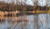 Tour Wandern Saint-Pourçain-sur-Sioule - Petit tour digestif du Nouvel An - Photo 1