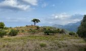 Tocht Stappen Deià - GR221 # Deià - Muleta - Puerto de Soller - Photo 11