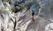 Excursión Senderismo Ollioules - SityTrail - 1041295 - le-destel-grotte-des-joncs - Photo 15