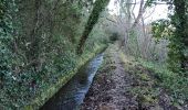 Randonnée Marche Le Thoronet - Le Thoronet- Canal de Ste Croix - Argens - Photo 10