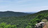 Randonnée Marche Bormes-les-Mimosas - Vallons de la Gourre et des Caunes  - Photo 1