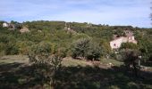 Tocht Stappen Céret - le ventous ceret - Photo 4