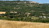 Trail Horseback riding Buoux - Provence 2025 J2 - Photo 8