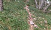 Trail Walking Le Chaffal - 26 vacherie arches comberoufle - Photo 5